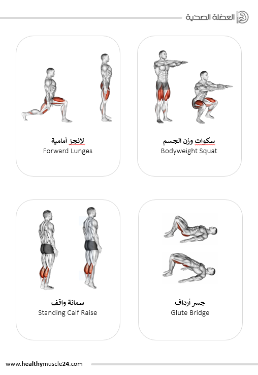 صور لبعض التمارين Home-Exercises-image